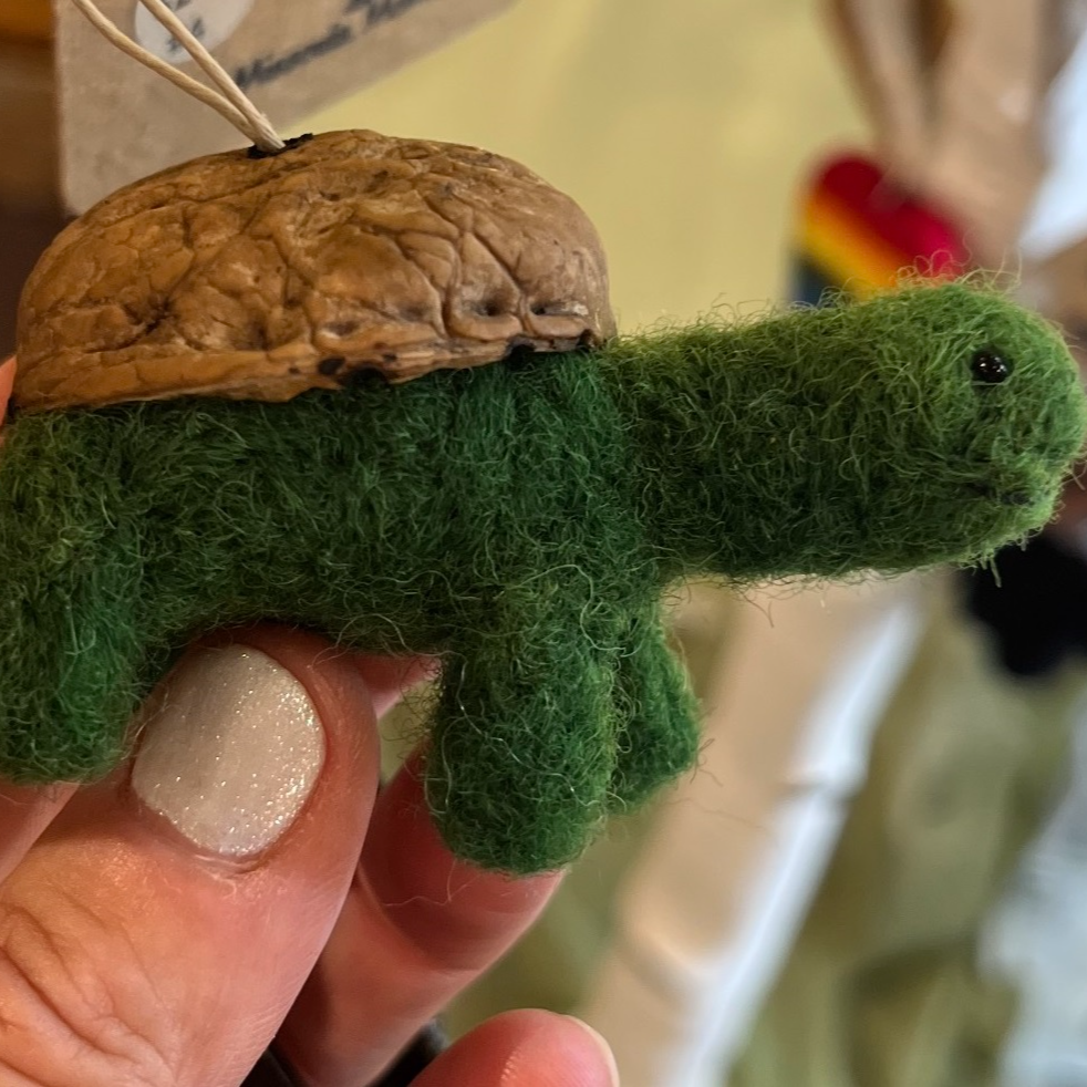 turtle