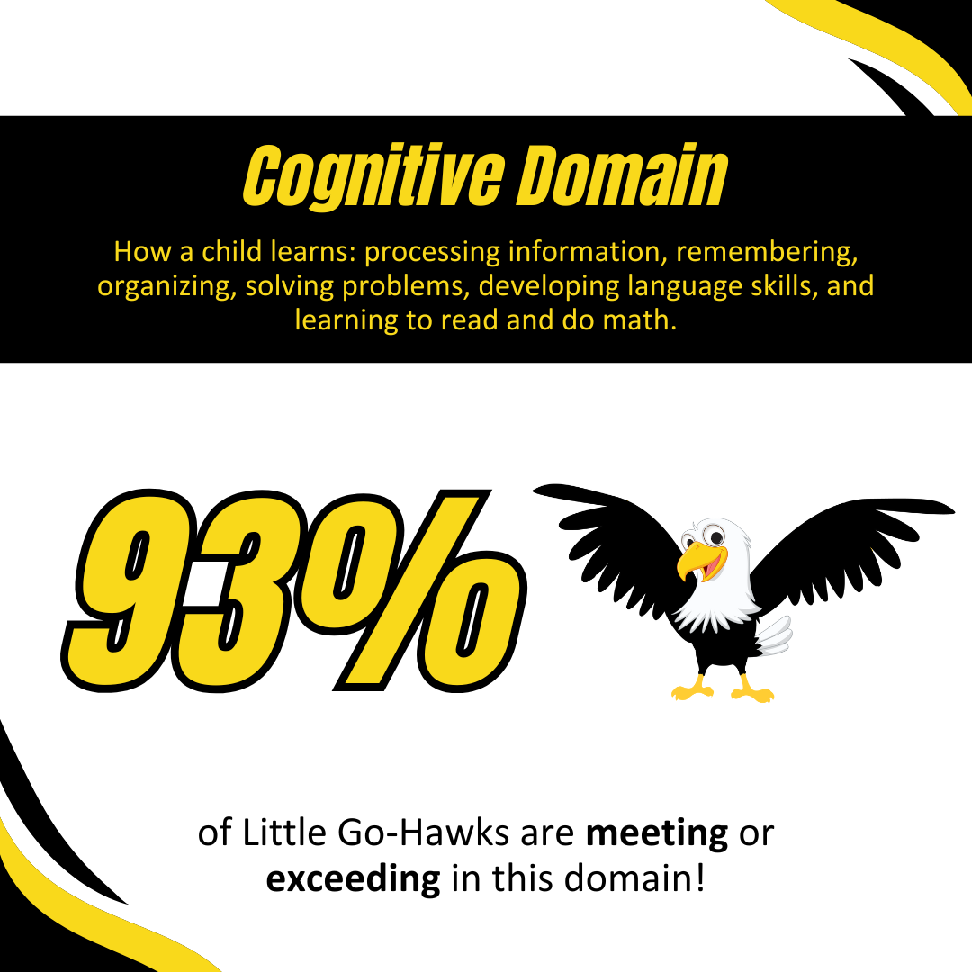 Cognitive domain
