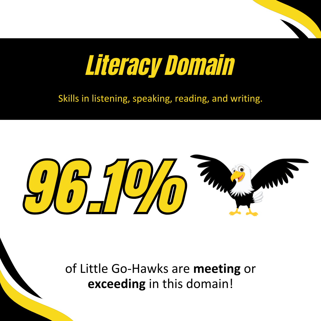 Literacy domain