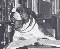 dog with a book