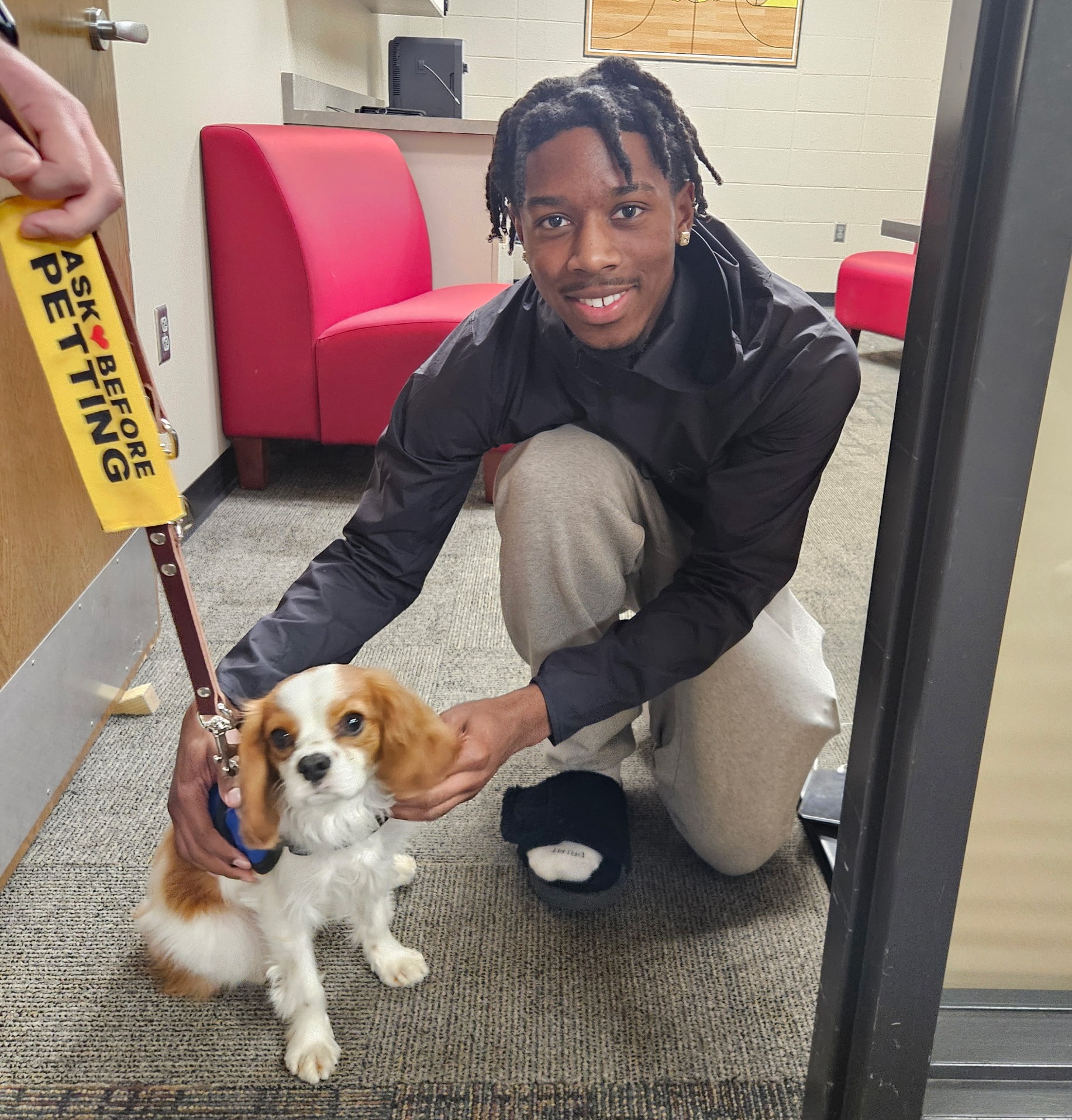Erinie the professional therapy dog with a high school student