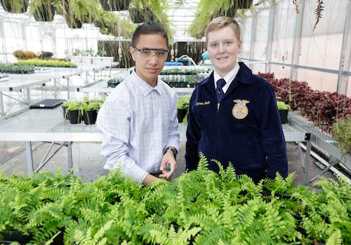 2 students in a greenhouse