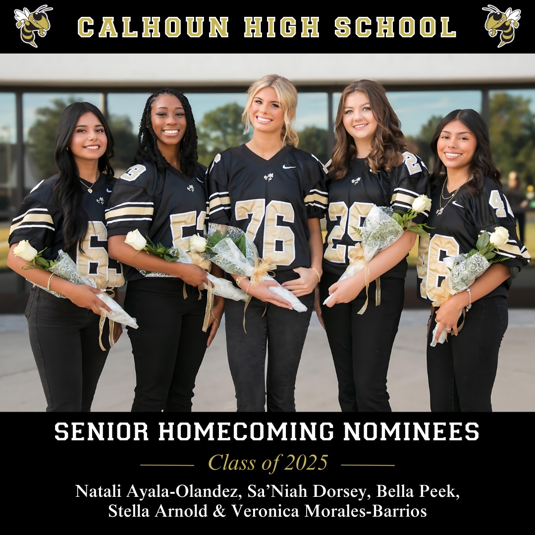hoco queen court