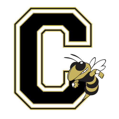 C buzz logo