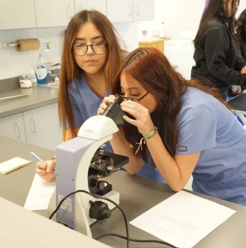 students  exam specimen