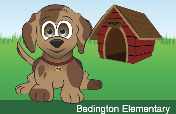 image shows a screenshot of the dog, scout, from the bedington card catalog