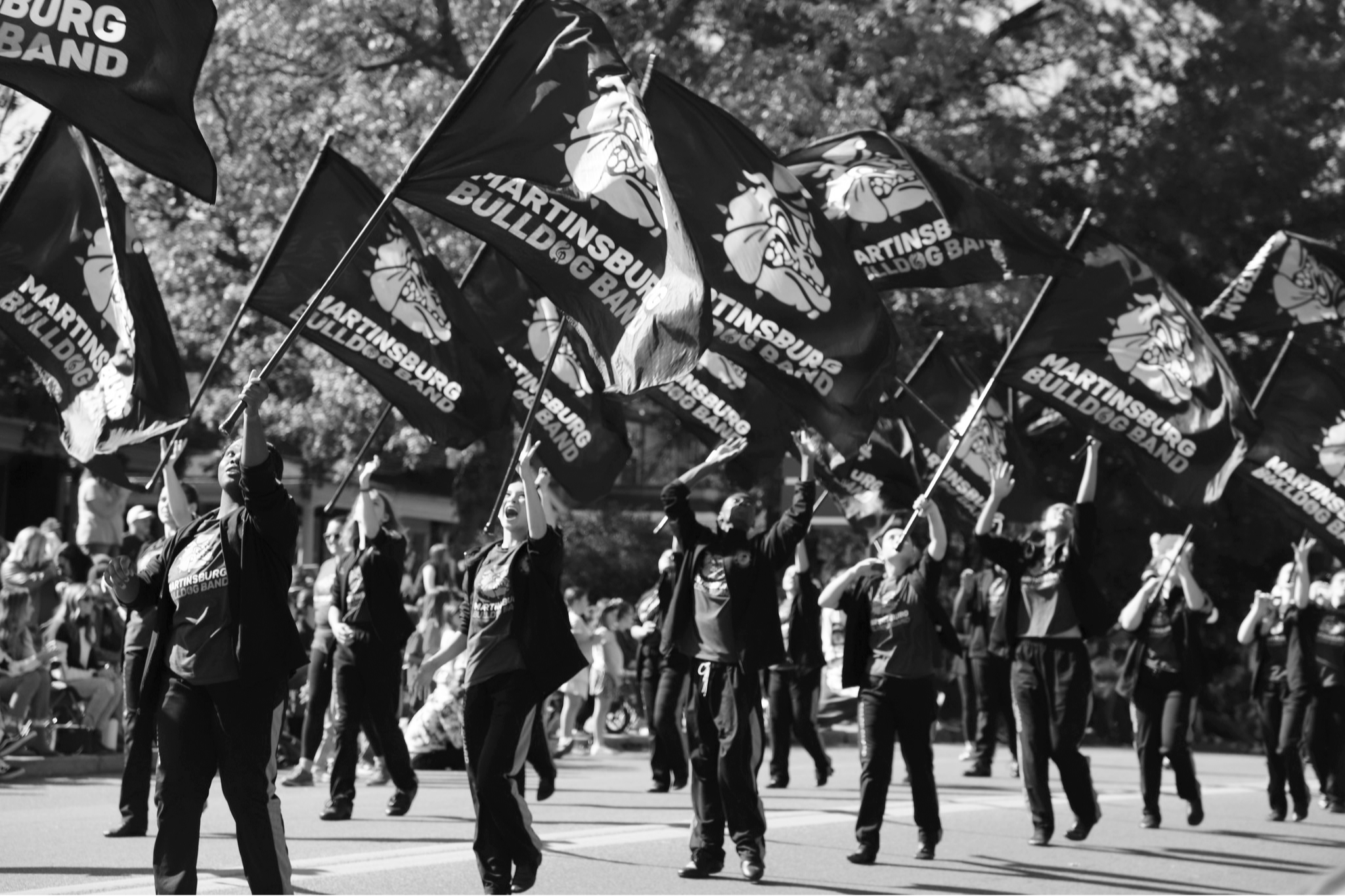 Students waving flags