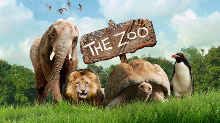 zoo animals: lion, elephant, turtle and penguin