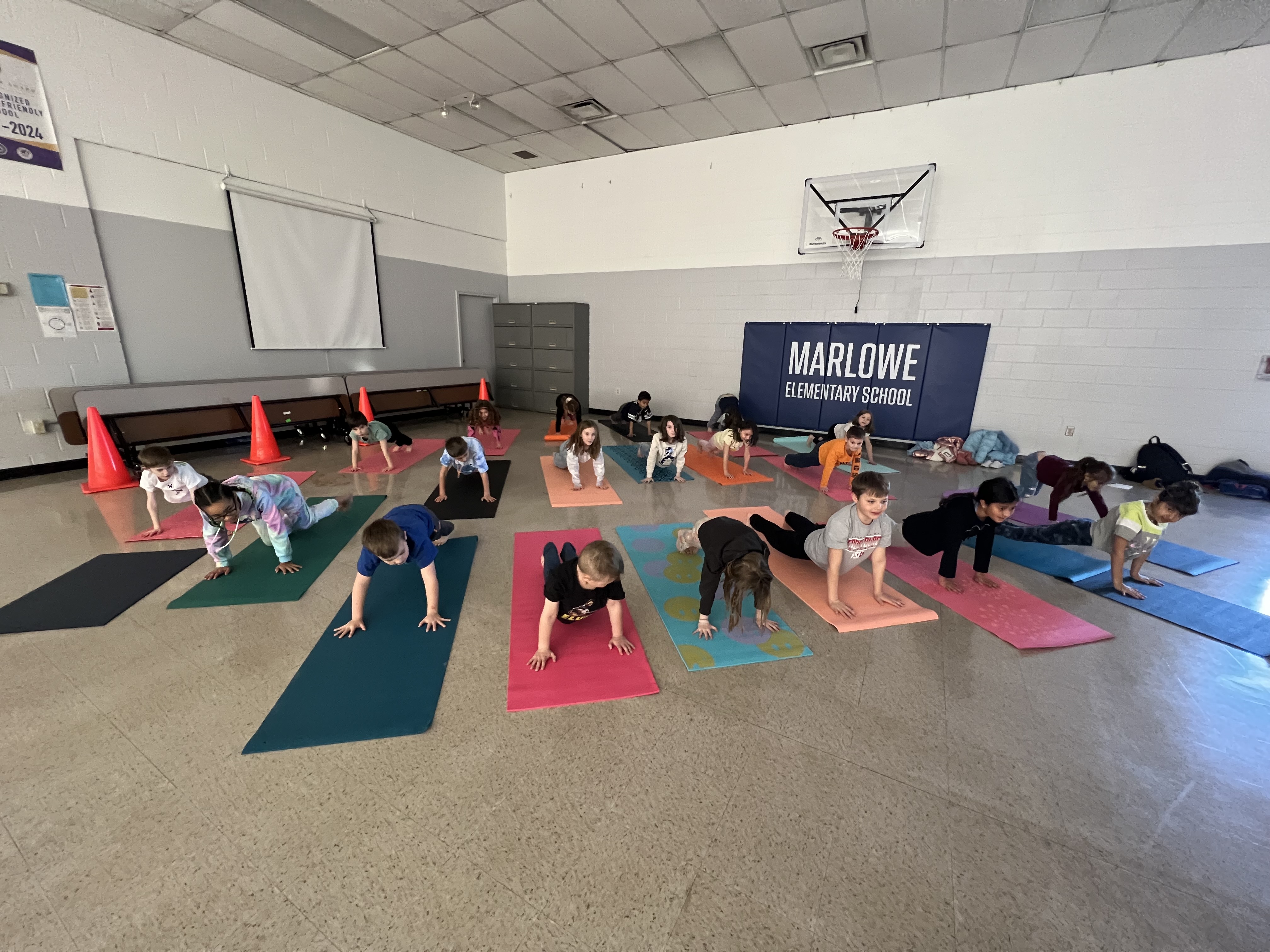 Students are on yoga mats doing the yoga pose "upward facing dog," which is a belly - down pose, while they hold their chests up toward the sky with the arms.