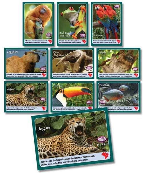 Zoo Zingo cards with various zoo animals in them.