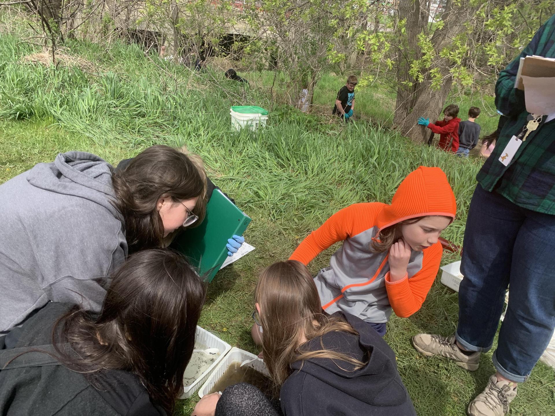 Students in group at the creek 