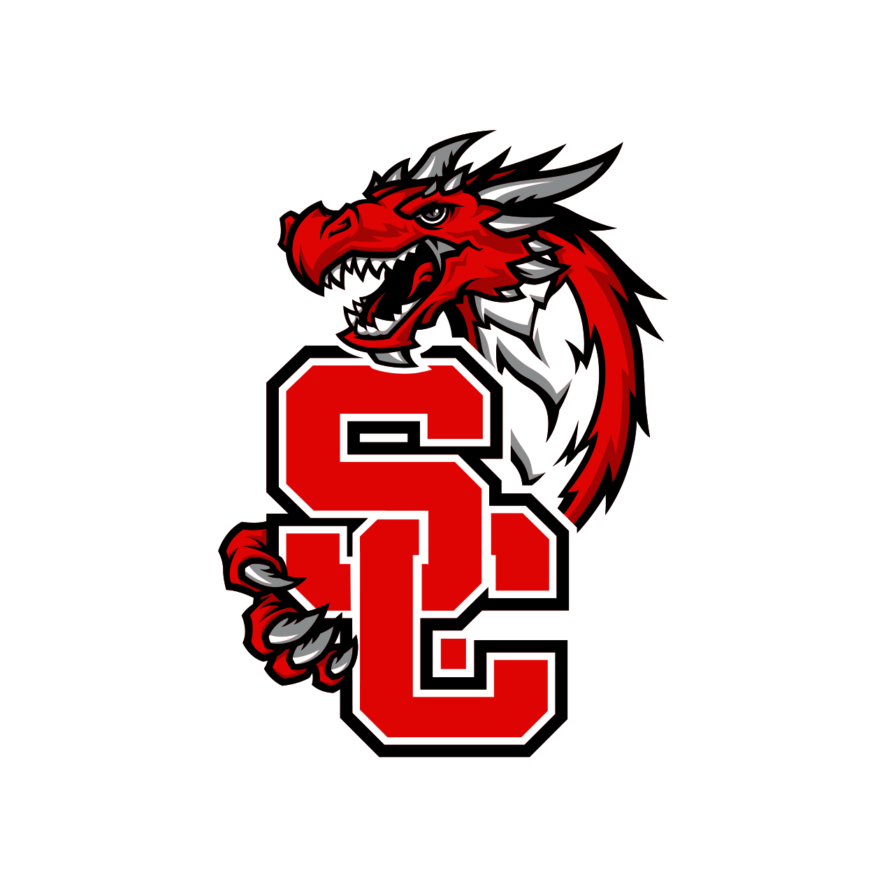 District Logo which as the District monogram over the top of the dragon mascot.
