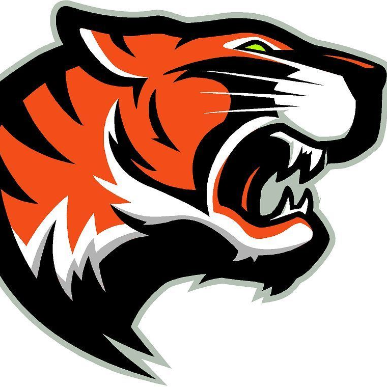 Tiger logo