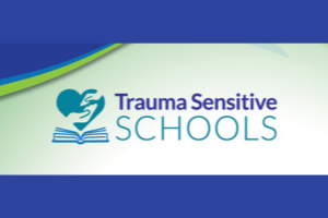 Trauma sensitive schools
