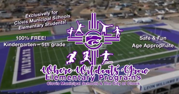 Elementary Programs
