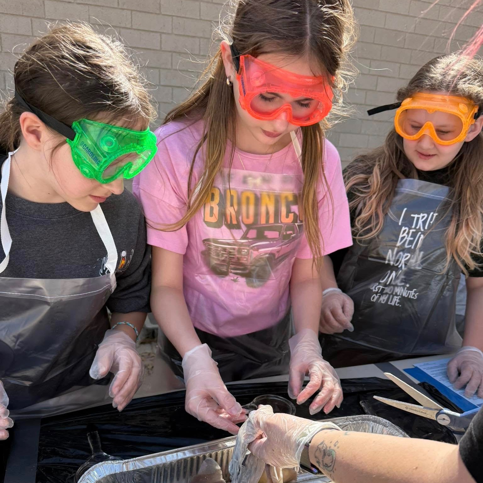 Students doing a biology project