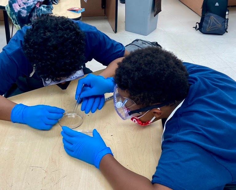 two boys wearing latex gloves and safety goggles use an eye dropper in a petri dish