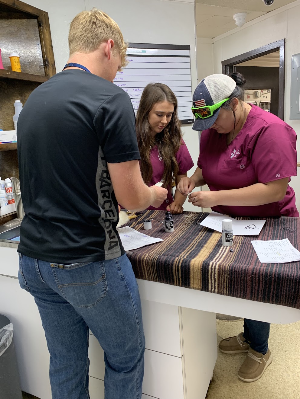 a student assists two veterinary employees