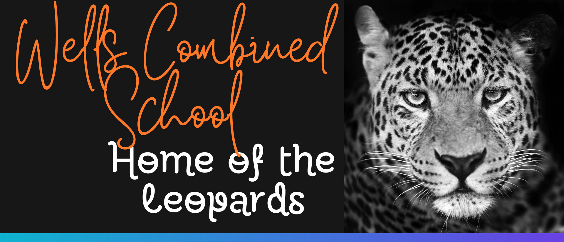 leopards