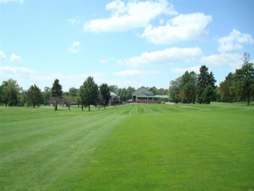 golf course green grass