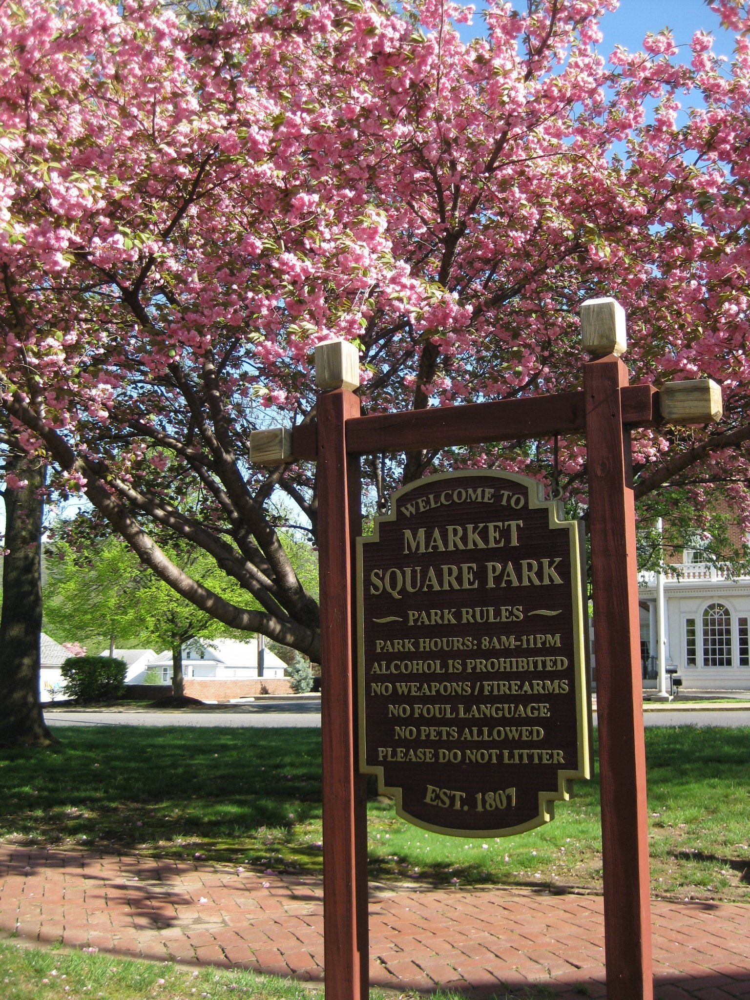 cherry blossom town square sign