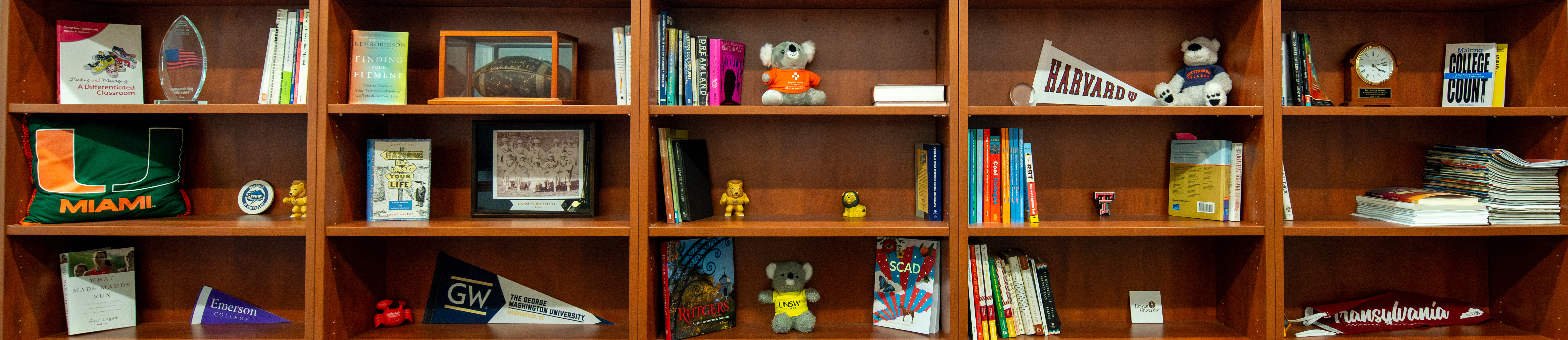 Picture of bookshelves with college images
