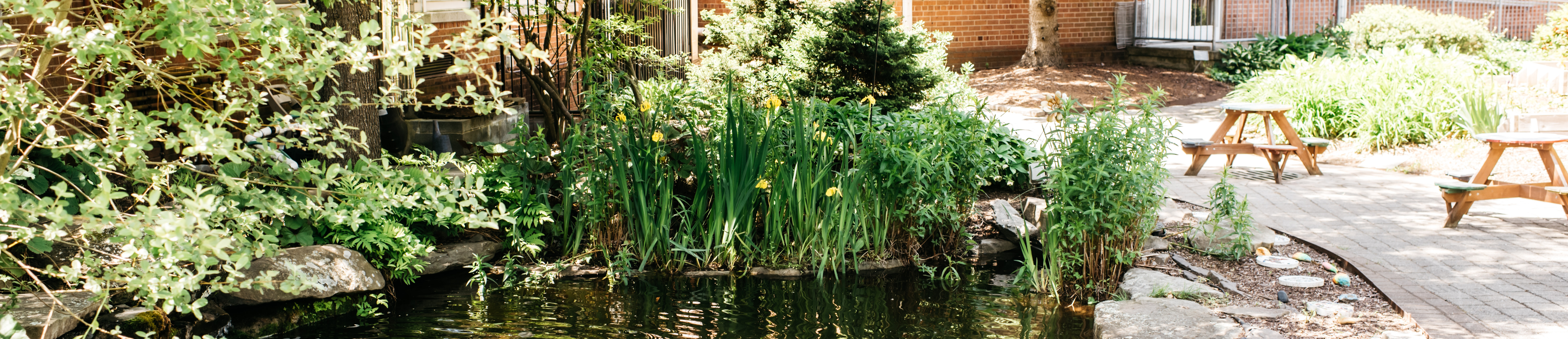 Tisdale Courtyard - flowers and a small pond