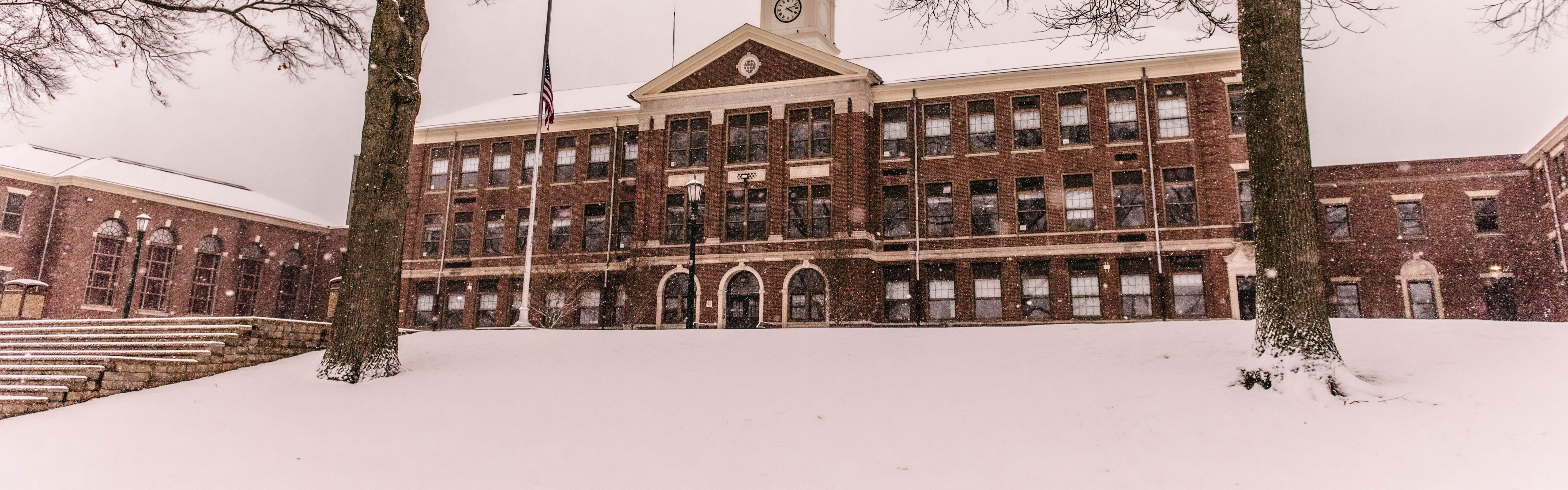 snowy RHS