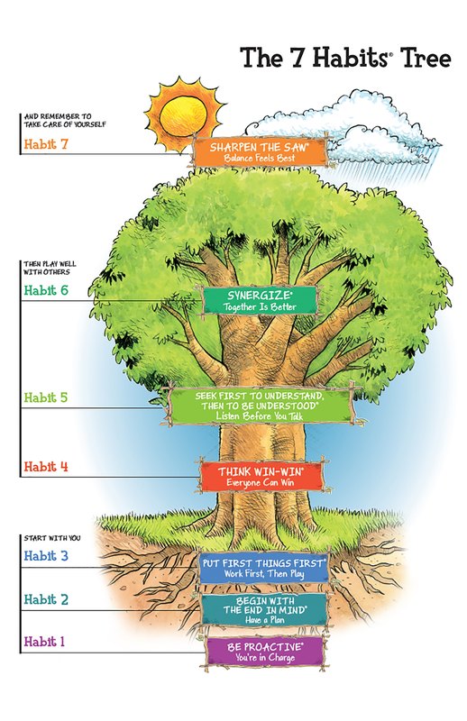 The 7 Habits Tree: Sharpen the Saw, Synergize, Seek first to understand then be understood, think win-win, put first things first, begin with the end in mind, be proactive 