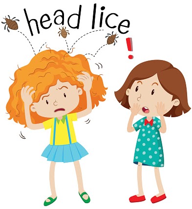 Head Lice cartoon