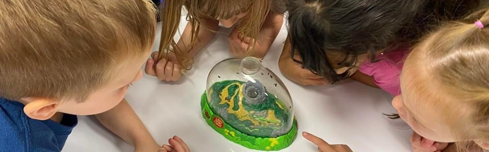Science Observation