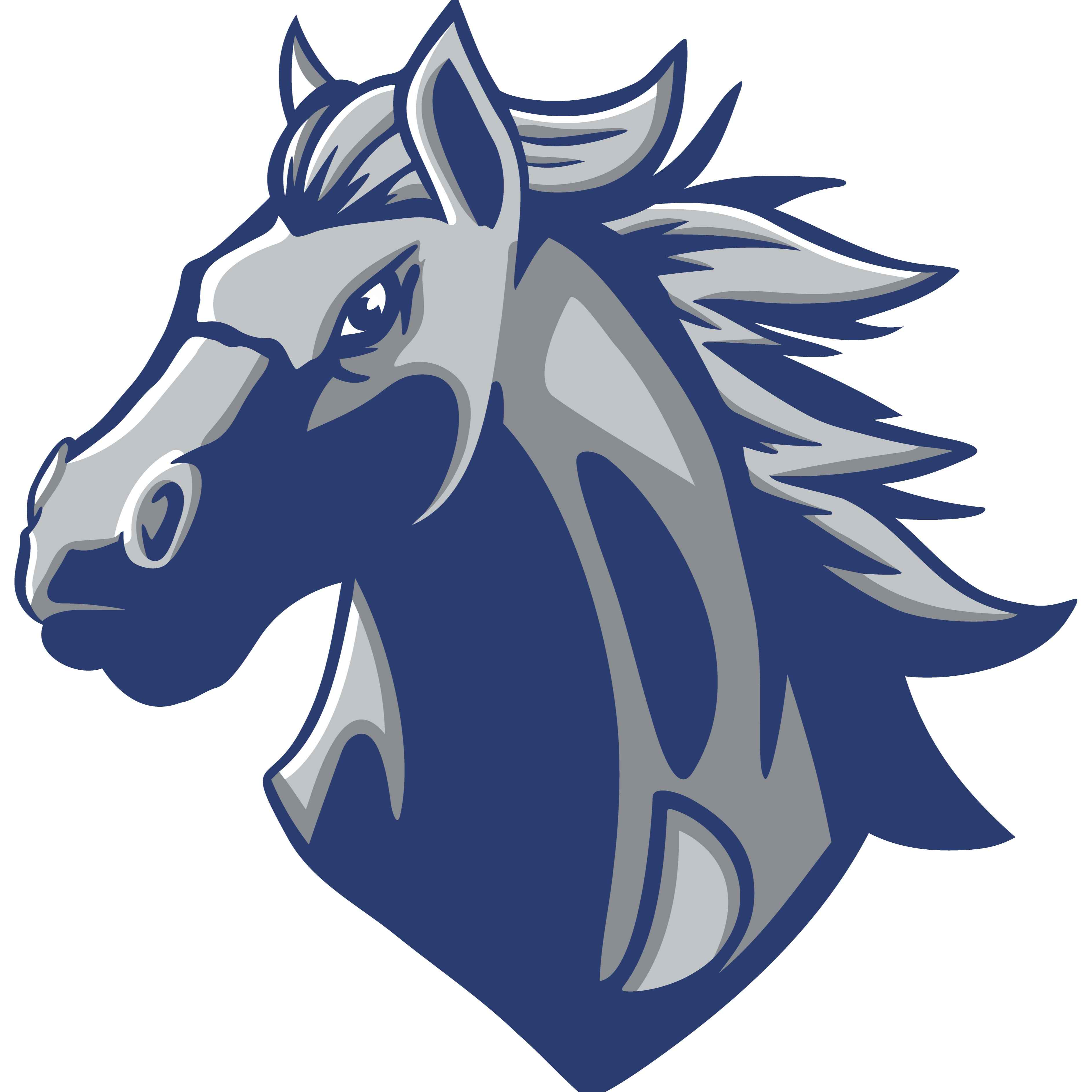 Dobson High Mustang mascot