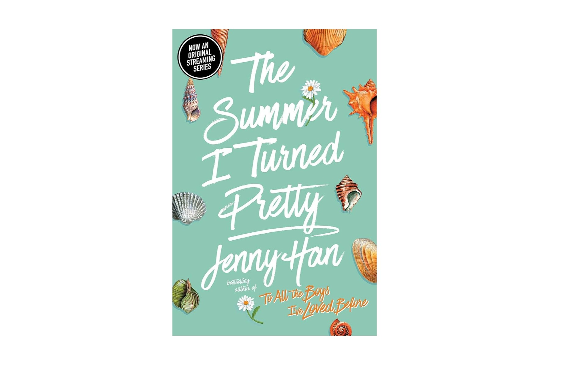 The Summer I Turned Pretty Trilogy