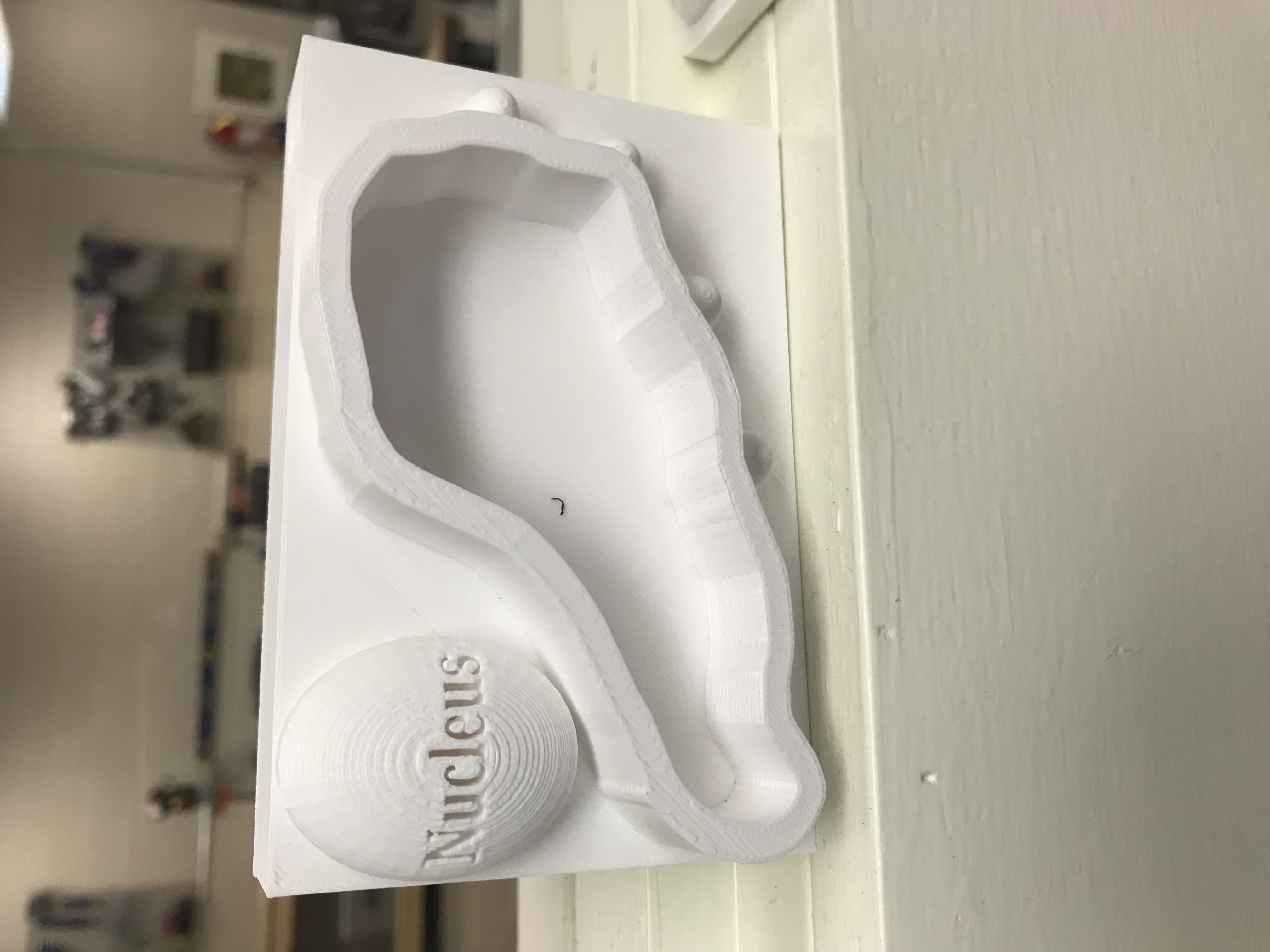 STEM
