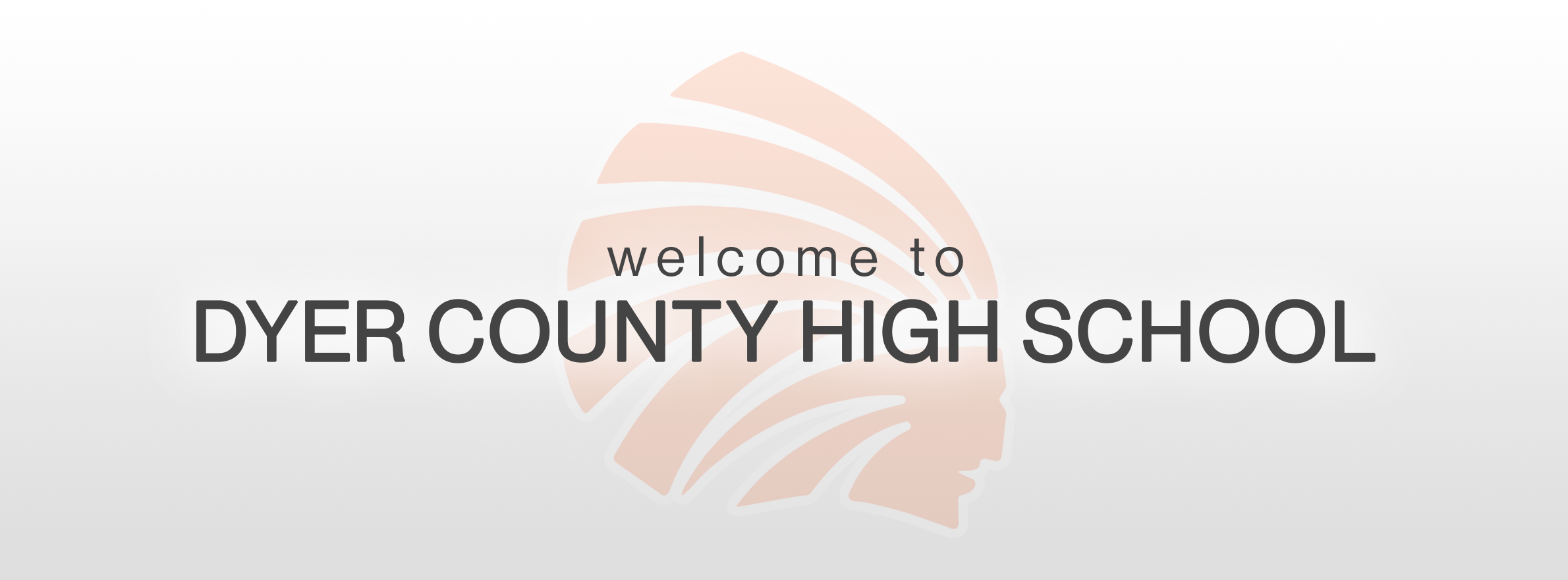 dyer county high school