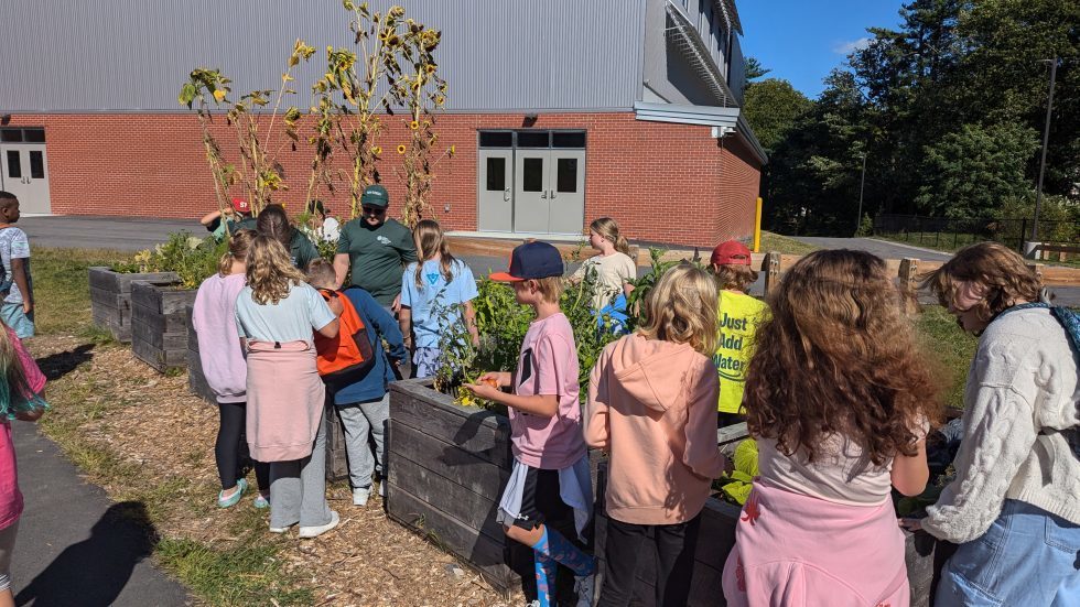 students at an afterschool garden program