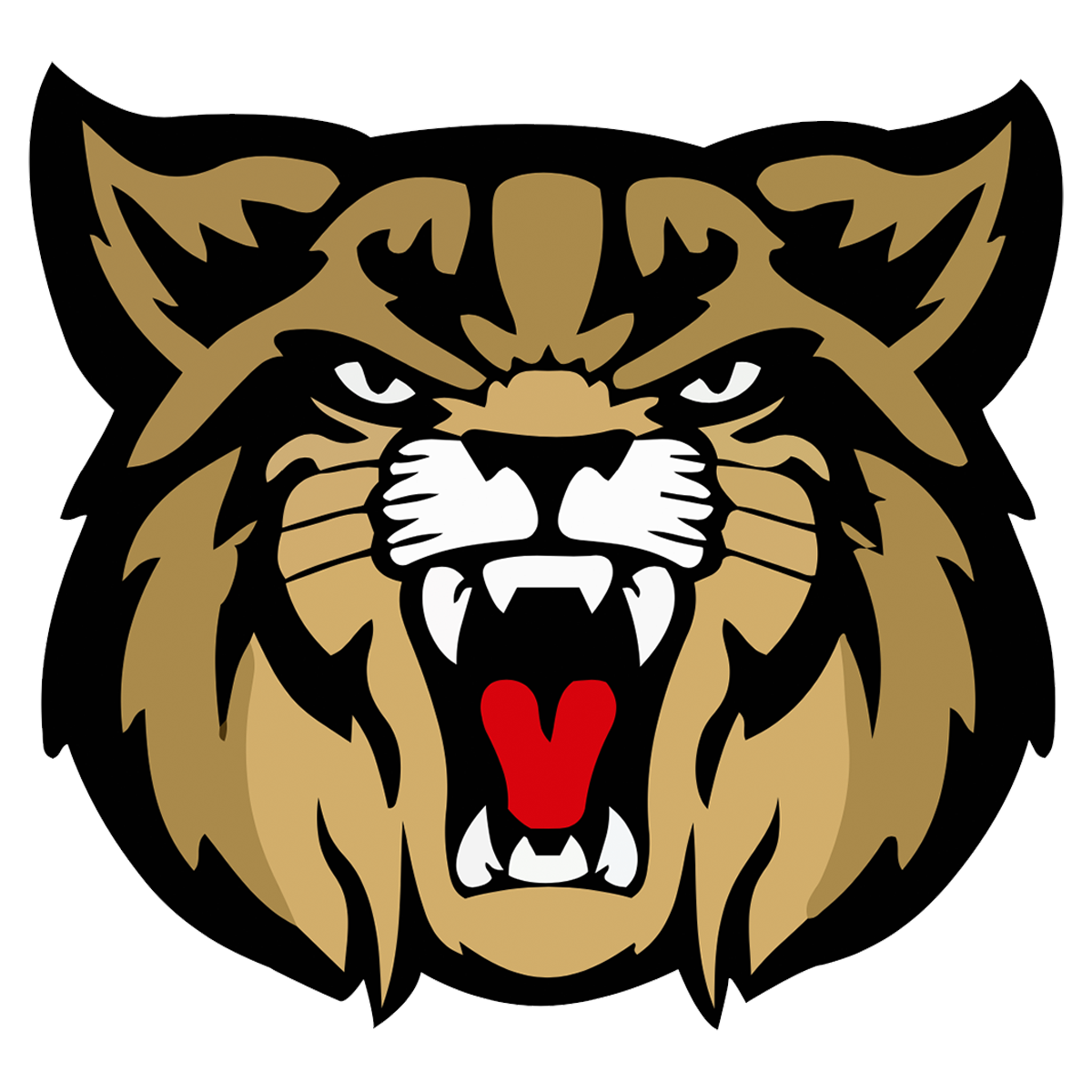 Camelot Intermediate November Newsletter Camelot Intermediate School