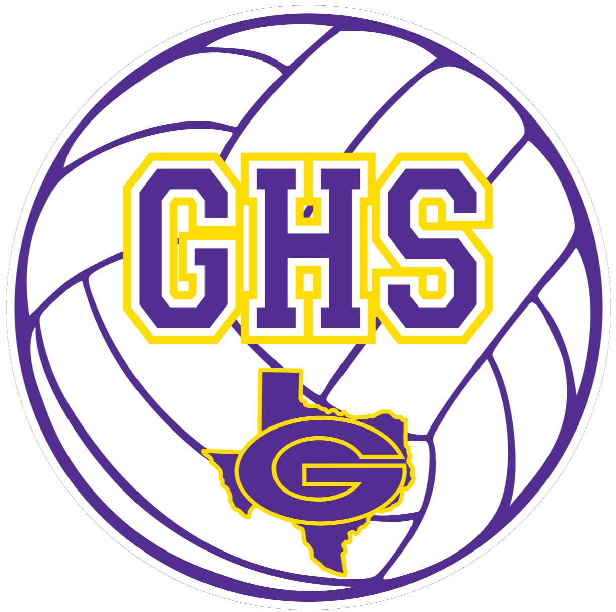 volleyball logo