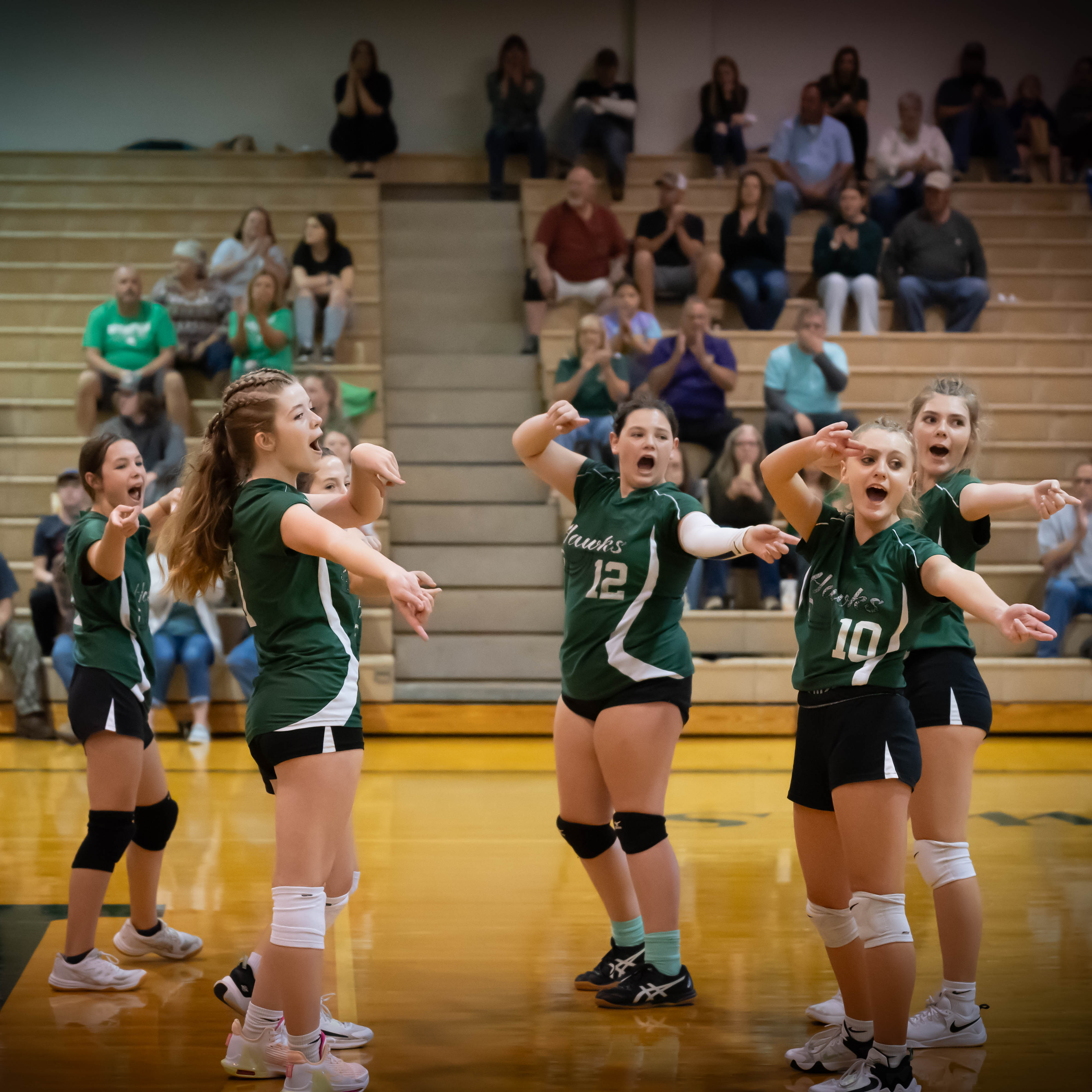 Girl's Volleyball