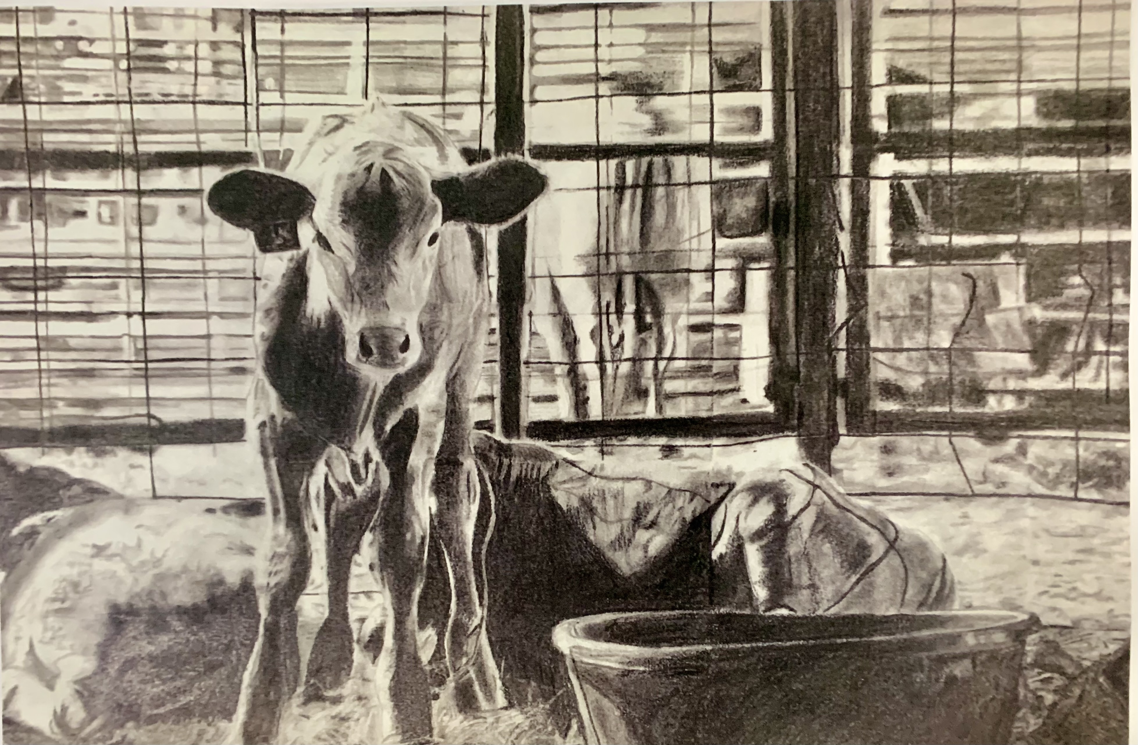 Rodeo Art