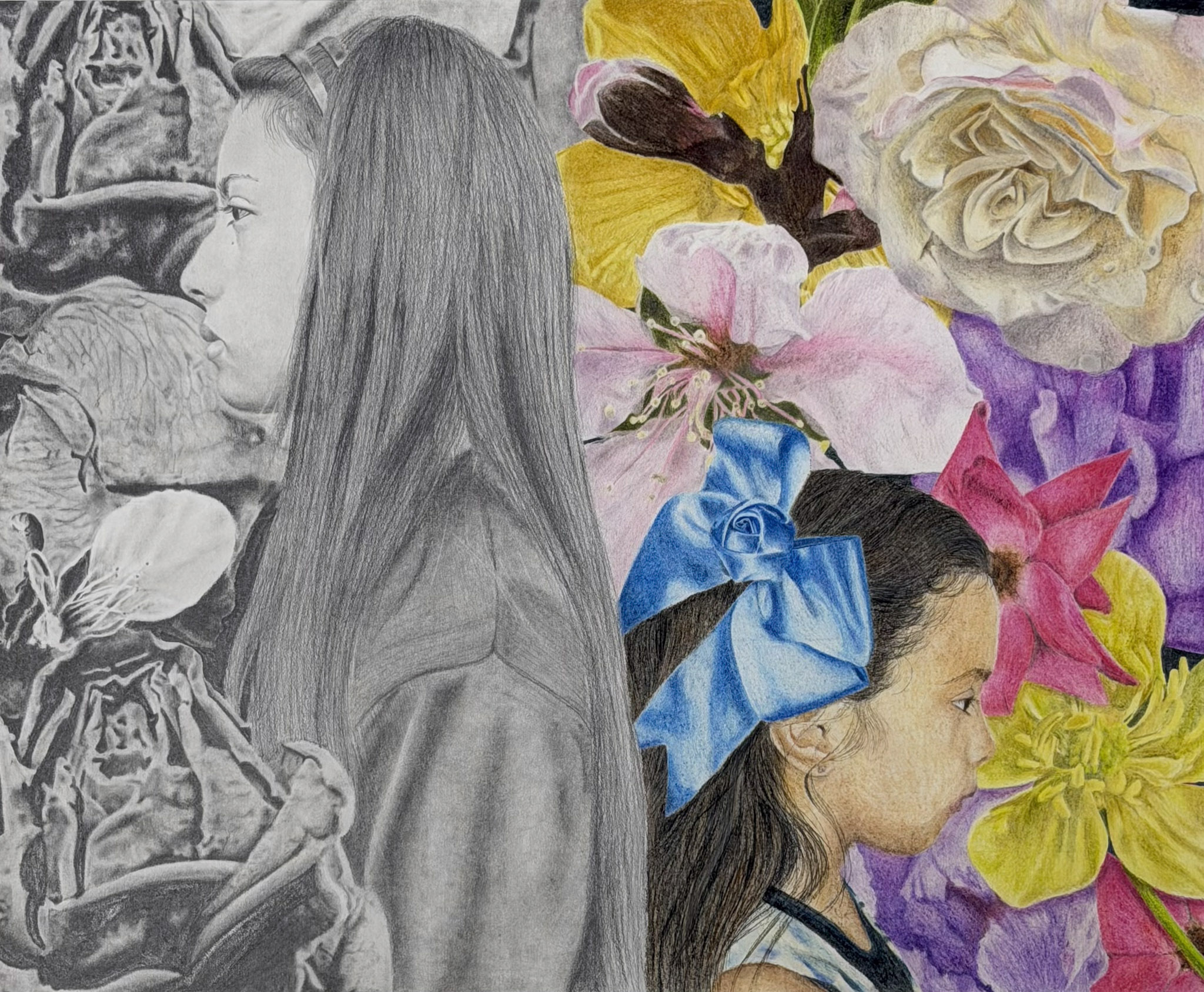 graphite drawing and colored pencil drawing 