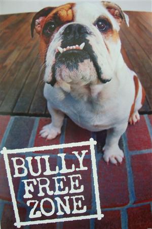 Bully Free Zone
