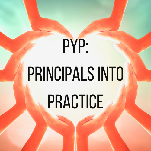 Principals into practice
