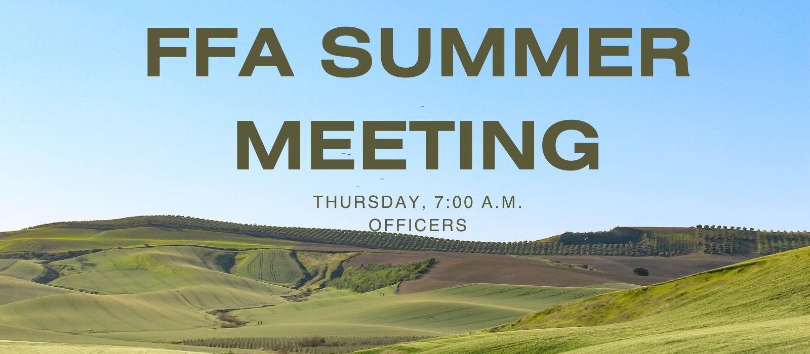 FFA summer meeting