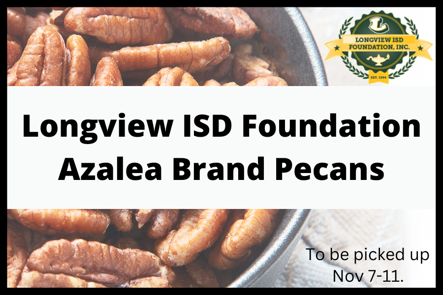 Longview ISD Foundation link
