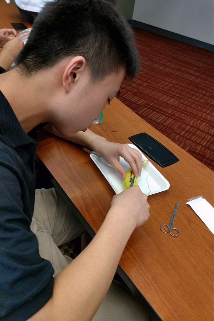 A student stitching up a banana