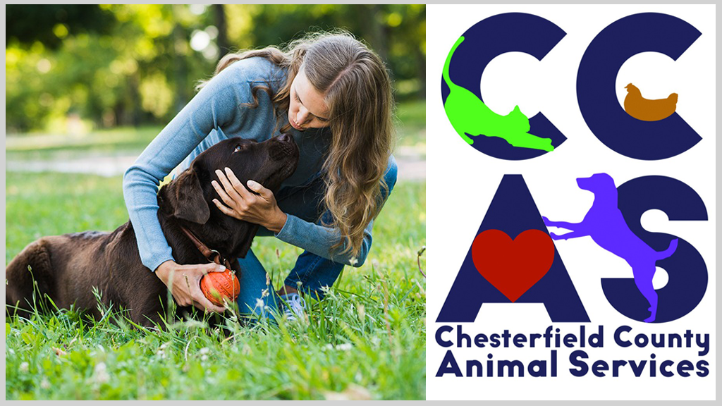 Girl hugging dog with CCAS logo