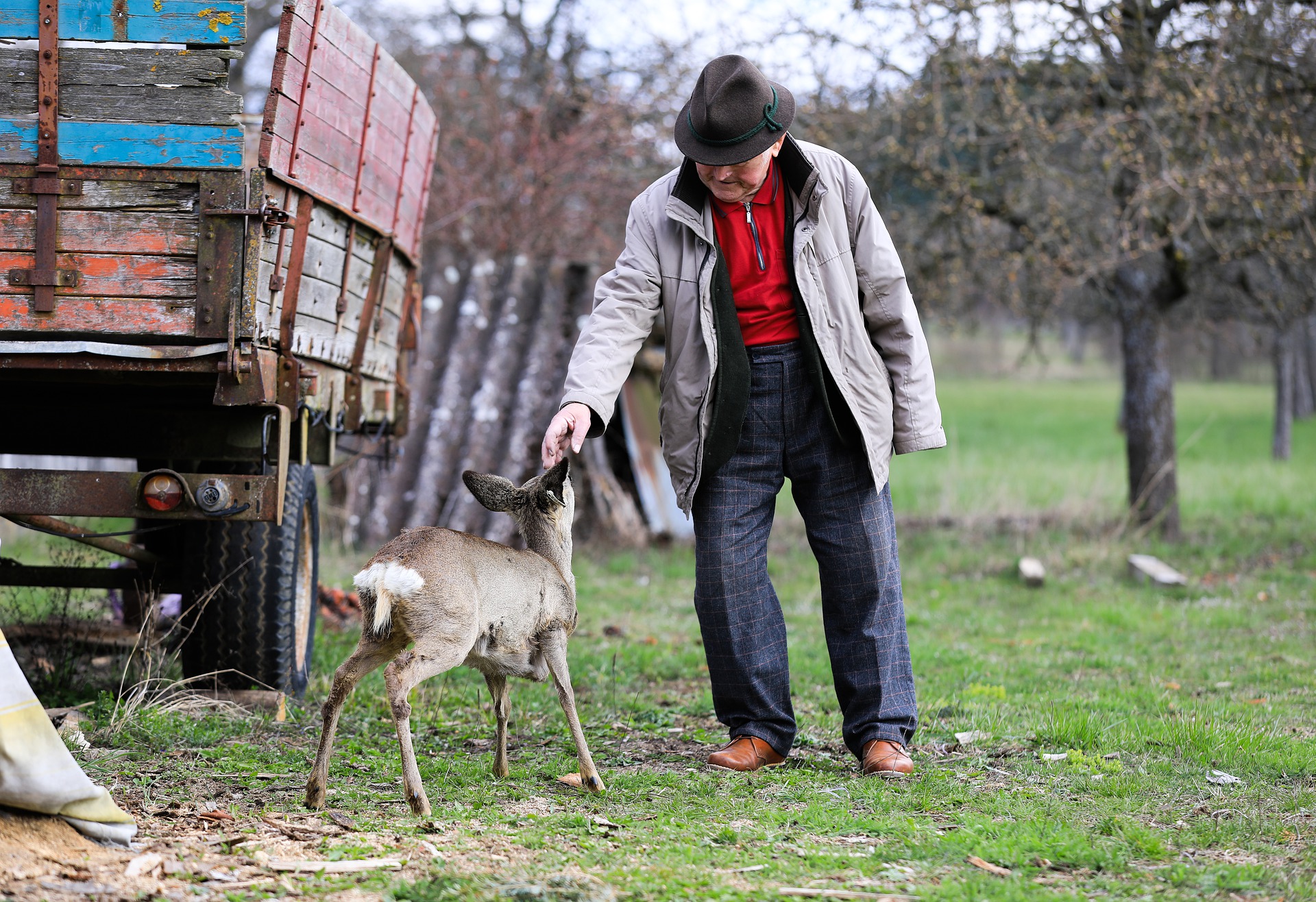 Old man and goat