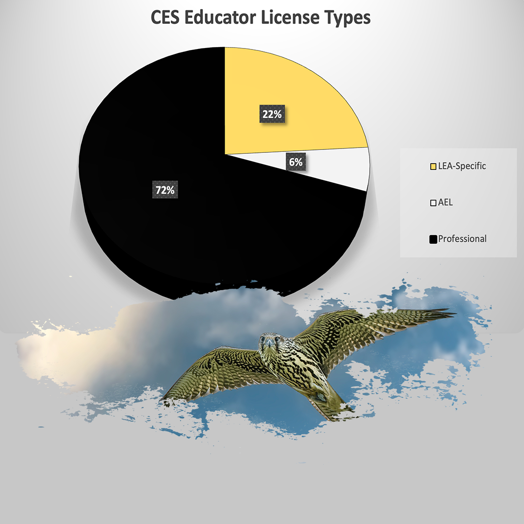 CES Teacher License Types