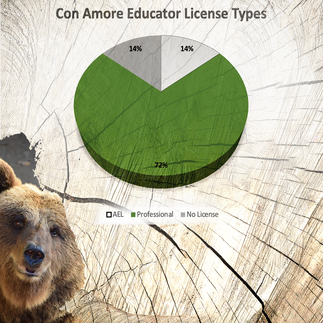 Con Amore Teacher License Types